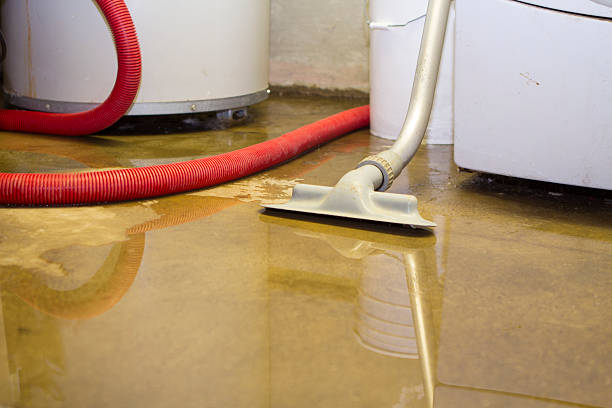 Best 24-hour water damage restoration  in Flanders, NY